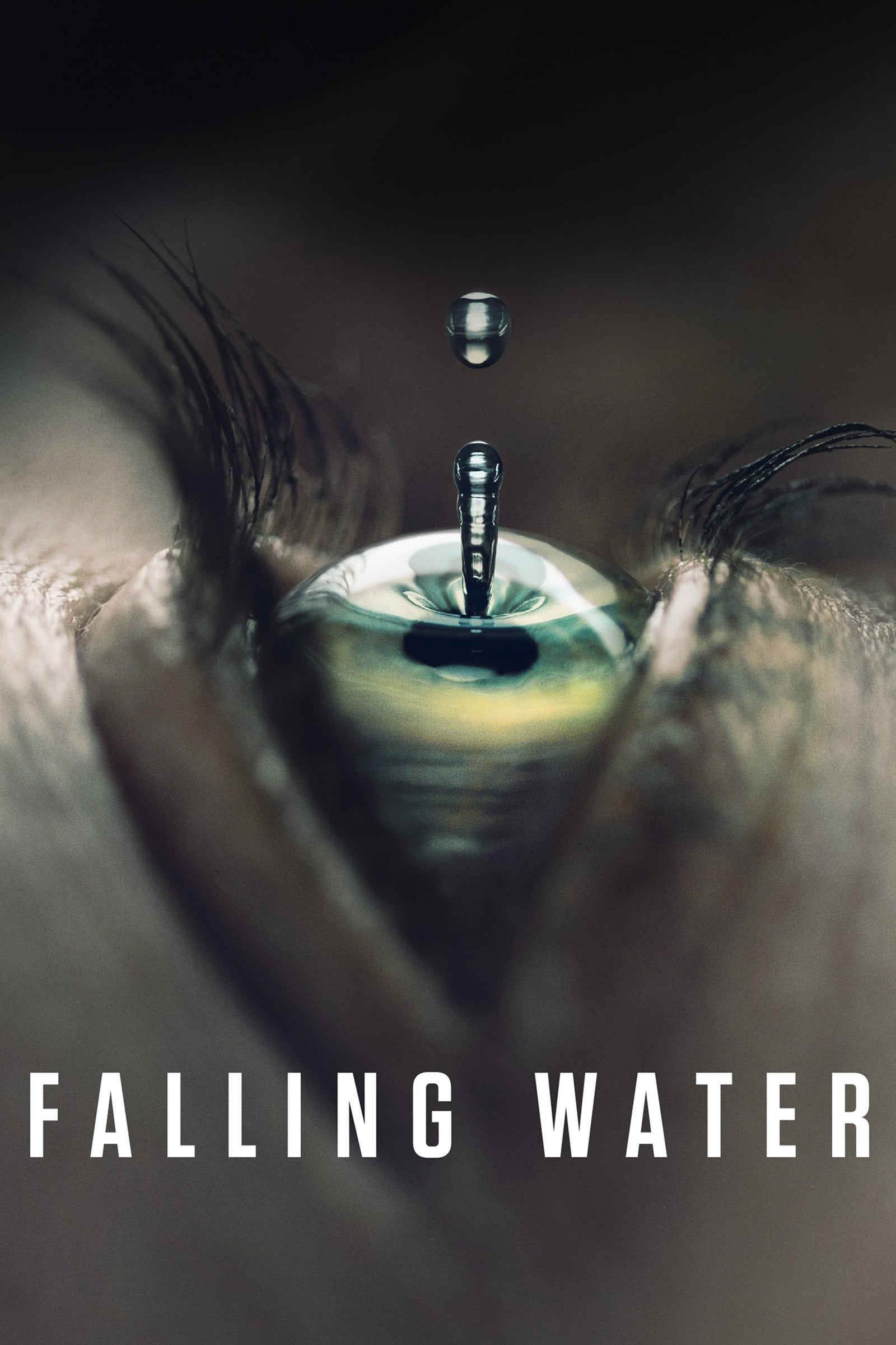 Falling Water rating